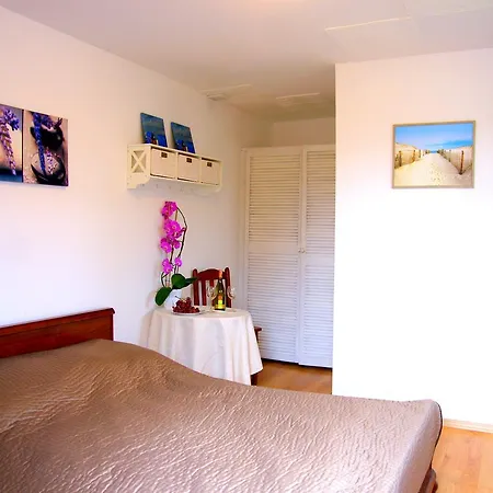 Koral Apartmenty アパート